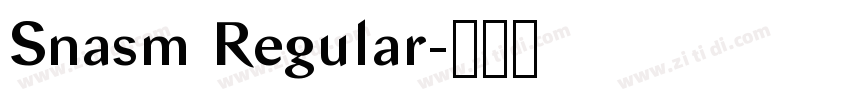 Snasm Regular字体转换